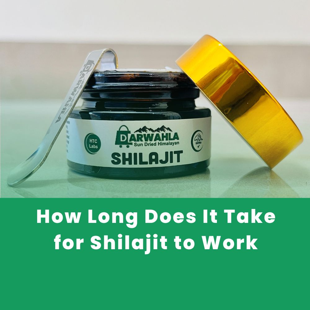 How Long Does It Take for Shilajit to Work