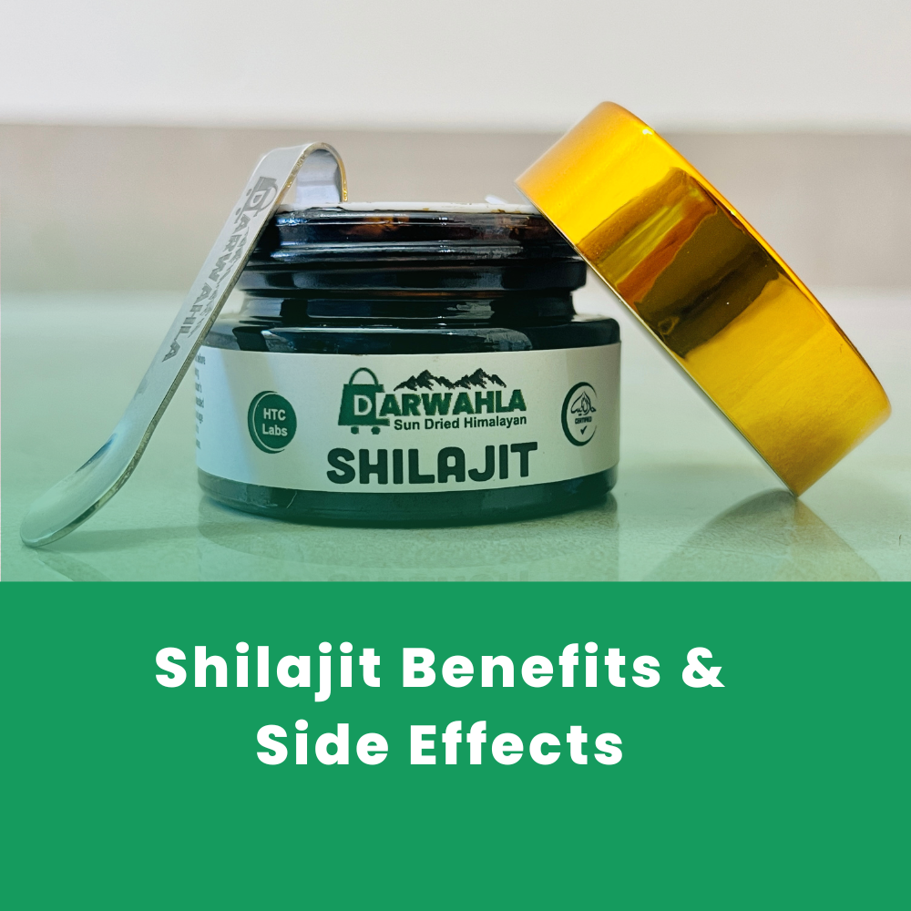 what is shilajit