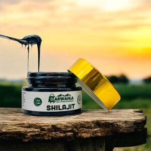 Aftabi Shilajit 20 Gram | Free Delivery