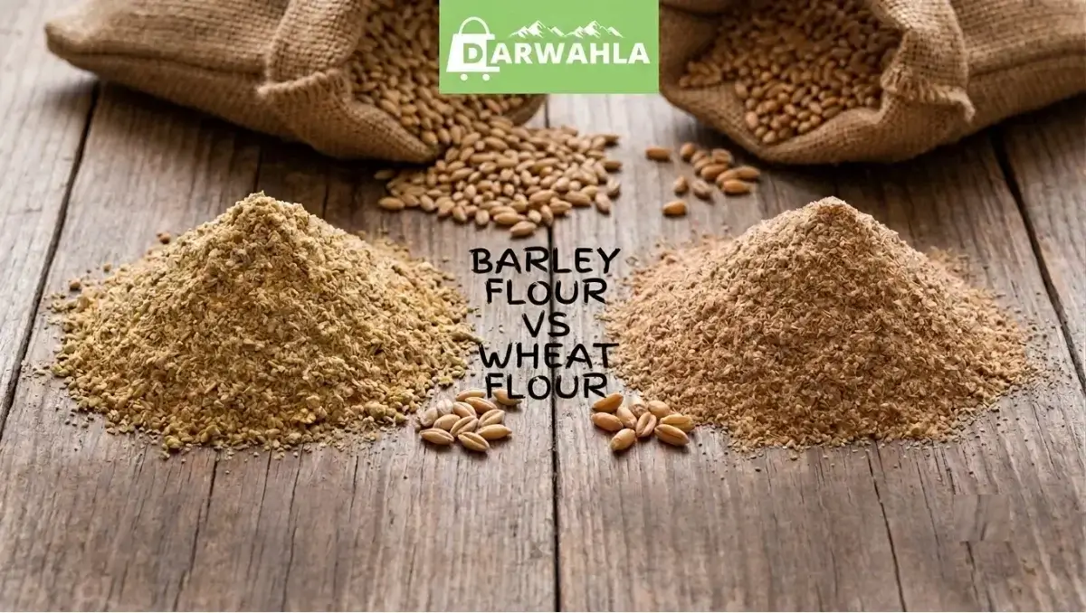 Two distinct piles of flour labeled barley flour vs wheat flour to know the differences